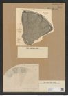Aulacodiscus margaritaceus var. undosus Grove et Sturt (de-Toni-Nr.: Genus 182, Species 4515) Zeichnungen Sammlung Grunow Nr. 8101 (NHMW-BOT-W0377441)